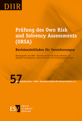Pr&uuml;fung des Own Risk and Solvency Assessments (ORSA)