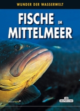 Fische im Mittelmeer - Ghisotti, Andrea