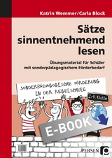 S&auml;tze sinnentnehmend lesen - Katrin Wemmer, Carla Block