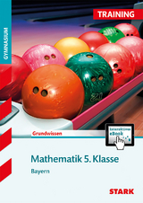 Training Gymnasium - Mathematik 5. Klasse Bayern + ActiveBook - Klaus Muthsam