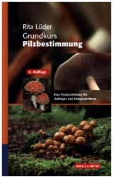 Grundkurs Pilzbestimmung - Lüder, Rita
