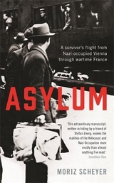 Asylum - Moriz Scheyer