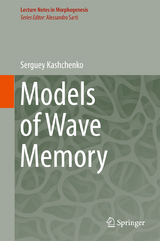Models of Wave Memory - Serguey Kashchenko