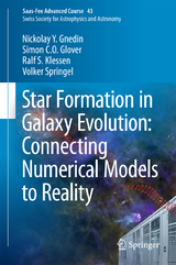 Star Formation in Galaxy Evolution: Connecting Numerical Models to Reality -  Nickolay Y. Gnedin,  Simon C. O. Glover,  Ralf S. Klessen,  Volker Springel