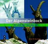 Der Alpensteinbock - Peter W. Baumann