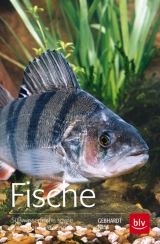 Fische - Gebhardt, Harald; Ness, Andreas
