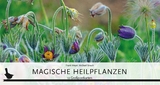 Kartenset Magische Heilpflanzen