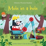 Mole in a Hole - Lesley Sims