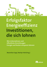 Erfolgsfaktor Energieeffizienz - Investitionen, die sich lohnen - 