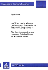 Ineffizienzen in kleinen und mittleren Unternehmen in Entwicklungsl&auml;ndern - Peter Mayer