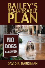 Bailey's Remarkable Plan -  David R. Hardiman