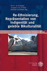 Re-Ethnisierung, Repr&auml;sentation von Indigenit&auml;t und gelebte Bikulturalit&auml;t - 