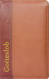 Gotteslob - Taschenausgabe in Kunstledermappe