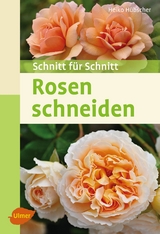 Rosen schneiden - Heiko H&uuml;bscher