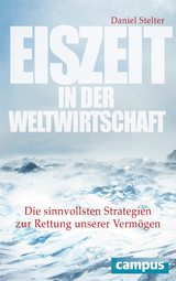 Eiszeit in der Weltwirtschaft - Daniel Stelter