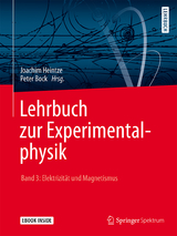 Elektrizität und Magnetismus - Joachim Heintze
