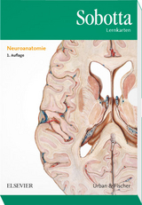 Sobotta Lernkarten Neuroanatomie - Lars Br&auml;uer, Michael Scholz