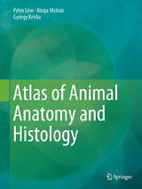 Atlas of Animal Anatomy and Histology - P&eacute;ter Lőw, Kinga Moln&aacute;r, Gy&ouml;rgy Kriska