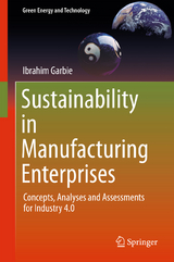 Sustainability in Manufacturing Enterprises - Ibrahim Garbie