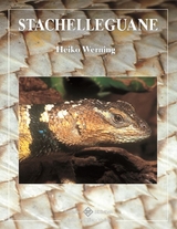 Stachelleguane - Heiko Werning