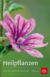 Heilpflanzen - Wendelberger, Elfrune