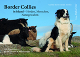 Border Collies in Island - Herden, Menschen, Naturgewalten - Caroline Kerstin Mende