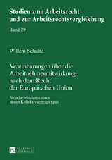Vereinbarungen ueber die Arbeitnehmermitwirkung nach dem Recht der Europaeischen Union - Willem Schulte