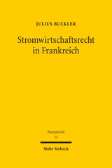 Stromwirtschaftsrecht in Frankreich - Julius Buckler