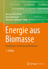 Energie aus Biomasse - Kaltschmitt, Martin; Hartmann, Hans; Hofbauer, Hermann
