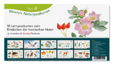 Wawra's Naturpostkarten, Set 4 - Ursula Wawra