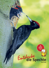 Entdecke die Spechte - Klaus Ruge
