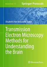 Transmission Electron Microscopy Methods for Understanding the Brain - 