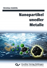 Nanopartikel unedler Metalle - Christian Sch&ouml;ttle