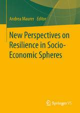 New Perspectives on Resilience in Socio-Economic Spheres - 