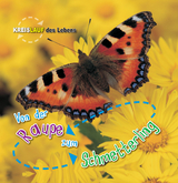 Von der Raupe zum Schmetterling - Camilla de la Bedoyere