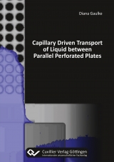 Capillary Driven Transport of Liquid between Parallel Perforated Plates - Diana Gaulke