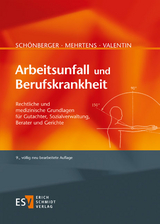 Arbeitsunfall und Berufskrankheit - Gerhard Mehrtens, Helmut Valentin, Alfred Sch&ouml;nberger
