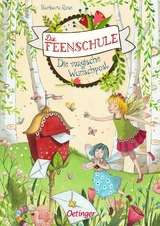 Die Feenschule 2. Die magische Wunschpost - Barbara Rose