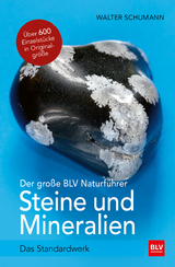 Der große BLV Naturführer Steine und Mineralien - Schumann, Walter