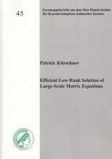 Efficient Low-Rank Solution of Large-Scale Matrix Equations - Patrick Kürschner