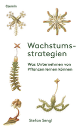 Wachstumsstrategien - Stefan Sengl