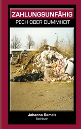 Zahlungsunf&auml;hig - Johanna Sameit