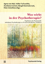 Was wirkt in der Psychotherapie? - 