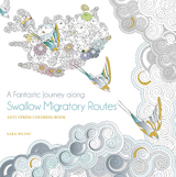 Fantastic Journey Along the Swallows Migratory Routes