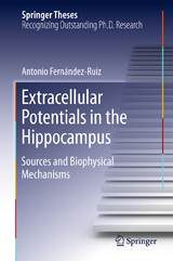 Extracellular Potentials in the Hippocampus - Antonio Fern&aacute;ndez Ruiz