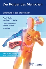 Der K&ouml;rper des Menschen - Adolf Faller, Michael Sch&uuml;nke
