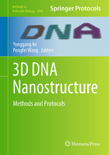 3D DNA Nanostructure - 