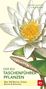 Der BLV Taschenführer Pflanzen - Schauer, Thomas; Caspari, Claus