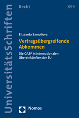 Vertrags&uuml;bergreifende Abkommen - Elizaveta Samoilova