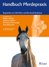 Handbuch Pferdepraxis - Brehm, Walter; Gehlen, Heidrun; Ohnesorge, Bernhard; Wehrend, Axel; Dietz, Olof; Huskamp, Bernhard